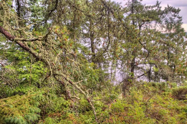 Little American Island Est Site Historique Dans Parc National Des — Photo