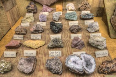 Çeşitli Kayalar ve Mineraller Bir Jeoloji Müzesinde Gösterimde