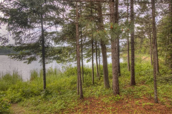 Superior National Forest Ligt Minnesota — Stockfoto