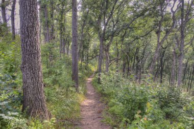 Michigan Gölü üzerinde Indiana Dunes Ulusal Lakeshore