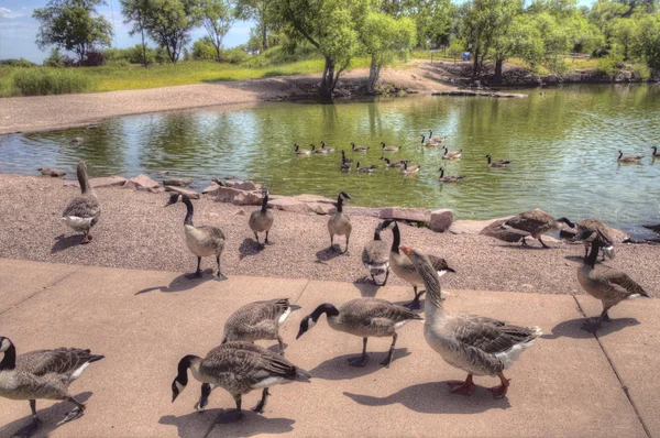 Arrowhead Park Sioux Falls City Park Com Lagoas Preenchidas Antigas — Fotografia de Stock