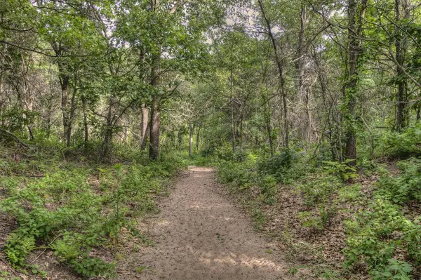 Indiana Dunes National Lakeshore Danau Michigan — Stok Foto