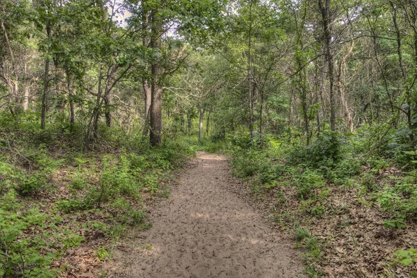 Indiana Dunes National Lakeshore Danau Michigan — Stok Foto