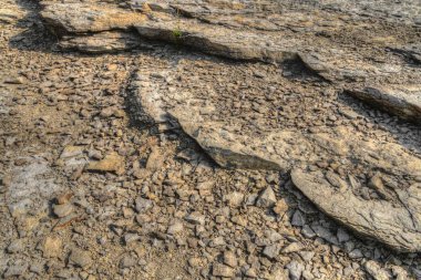 Devonian Fosil Vadisi Iowa 'nın kuzeyinde yer almaktadır.