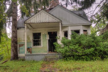 Detroit 'in ortabatı şehrinde insanlar ve endüstri tarafından terk edilmiş binlerce bina var.