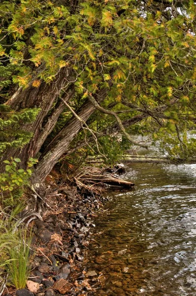 Boundary Waters Canoe Wilderness Area Uma Jóia Natural Norte Minnesota — Fotografia de Stock