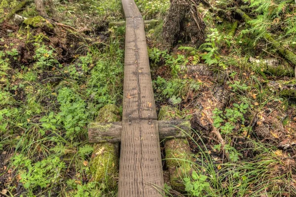 Parc National Isle Royale Est Une Île Isolée Située Dans — Photo