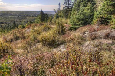 Isle Royale Ulusal Parkı, Superior Gölü 'nde Minnesota ile Michigan arasında bulunan ıssız bir ada.