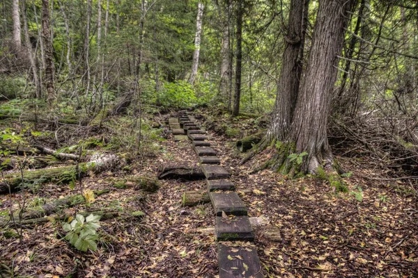 Taman Nasional Isle Royale Adalah Sebuah Pulau Terpencil Danau Superior — Stok Foto