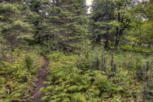 Taman Nasional Isle Royale Adalah Sebuah Pulau Terpencil Danau Superior — Stok Foto