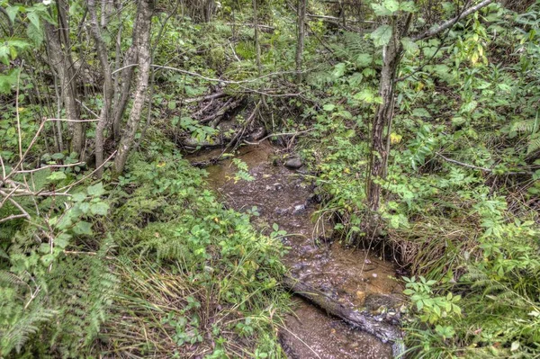 Národní Park Isle Royale Izolovaný Ostrov Jezeře Superior Mezi Minnesotou — Stock fotografie