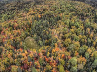 Yüksek Ulusal Orman, Sonbahar sırasında Minnesota