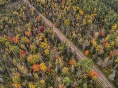 Yüksek Ulusal Orman, Sonbahar sırasında Minnesota