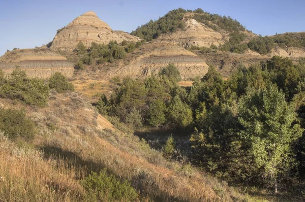 Theodore Roosevelt Ulusal Parkı Batı Kuzey Dakota Dadır — Stok fotoğraf