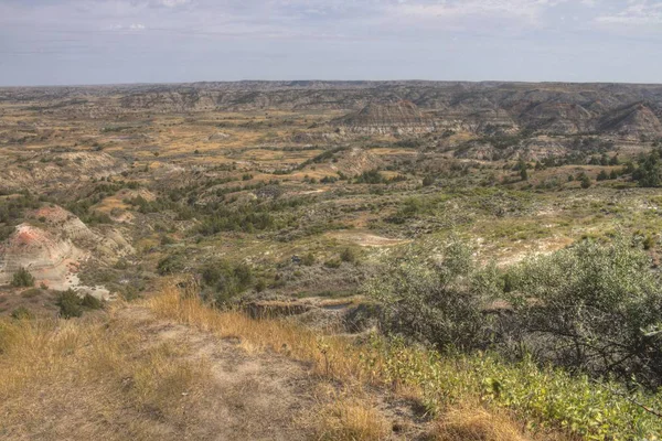 Theodore Roosevelt Ulusal Parkı Batı Kuzey Dakota Dadır — Stok fotoğraf