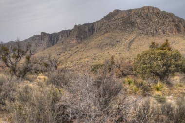 Guadalupe Ulusal Parkı, New Mexico