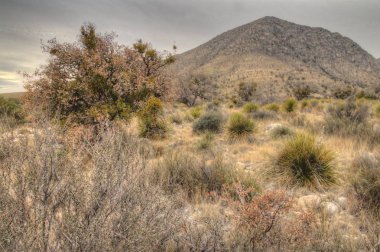 Guadalupe Ulusal Parkı, New Mexico