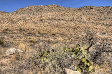 Carlsbad Mağara Ulusal Parkı büyük ölçüde bir yeraltı mağarası sistemidir.