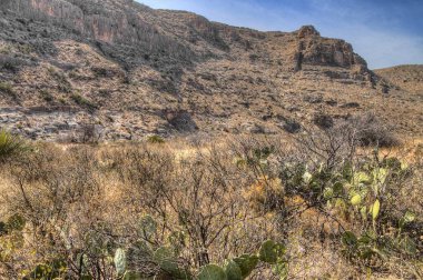 Carlsbad Mağara Ulusal Parkı büyük ölçüde bir yeraltı mağarası sistemidir.