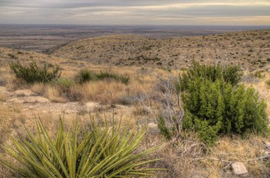 Carlsbad Mağara Ulusal Parkı büyük ölçüde bir yeraltı mağarası sistemidir.