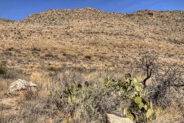 Carlsbad Mağara Ulusal Parkı büyük ölçüde bir yeraltı mağarası sistemidir.