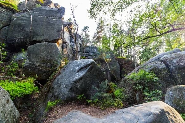 Landskap av berg — Stockfoto