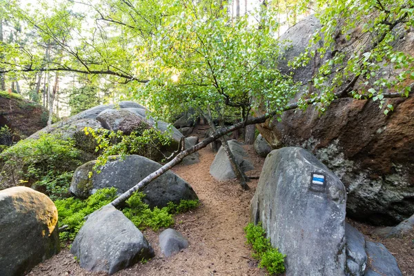 Landskap av berg — Stockfoto