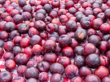 Taze çekilmiş Erik bir piknik masada oturan Höyük