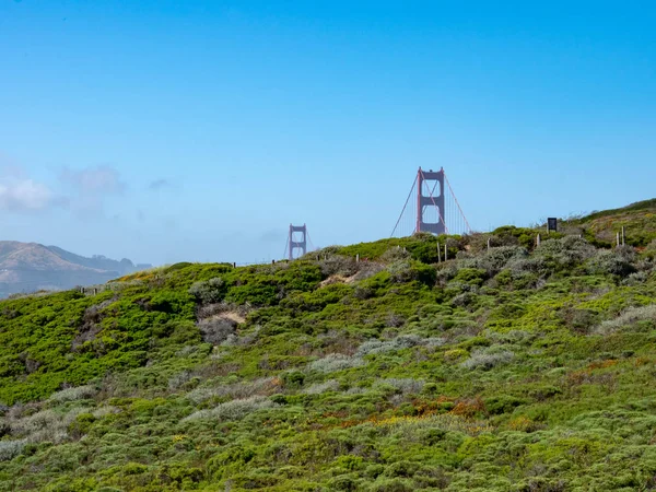 Pilares de Golden Gate ponte espreitando para cima da natureza do — Fotografia de Stock