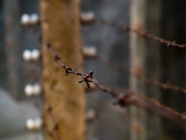 Paslı dikenli tel bir karanlık, endüstriyel alanda yakın çekim