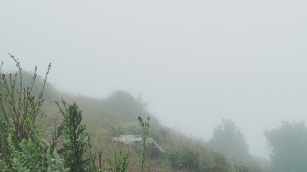 Niebla rodando y oscureciendo la vista en praderas, tierras de montaña área de la naturaleza — Vídeo de stock