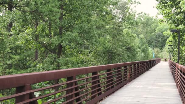 Pasarela de madera a lo largo de la naturaleza sendero con árboles balanceándose del viento — Vídeos de Stock