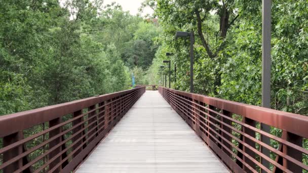 Vue centrale du pont à pied en bois avec des arbres oscillants le long du sentier de randonnée — Video