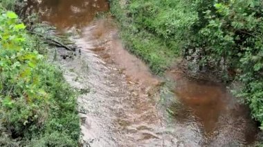 Gündüz ormanda akan dere üstten görünüm