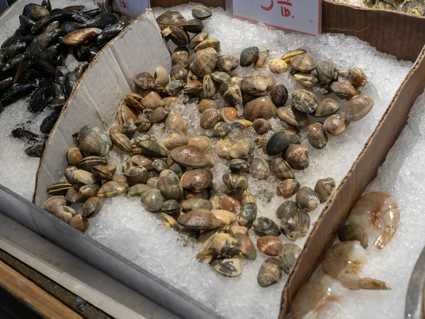 Taze deniz ürünleri pazarı ile çiğ istiridye buz adlı mağaza önünde oturan