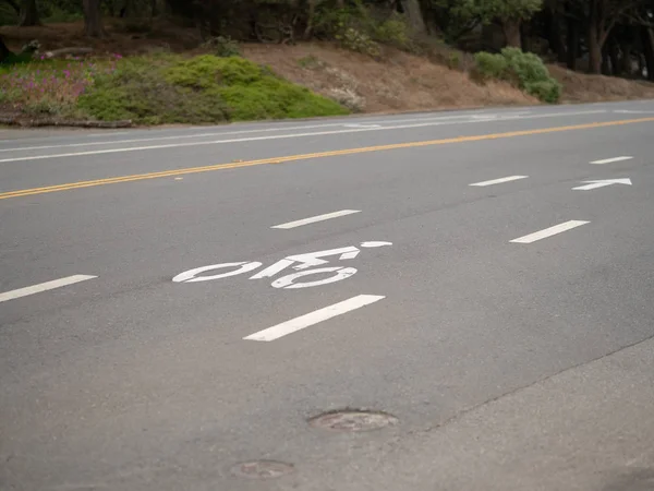 交通無しでロゴが付いている通りで自転車レーンのシンボル — ストック写真