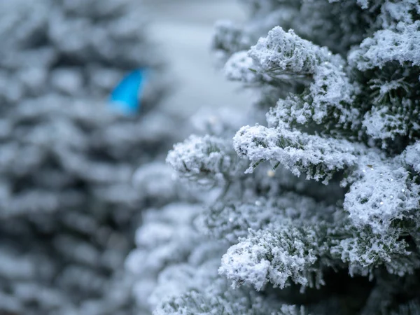 Close up of Christmas tree covered in white flocking spray and powder for snow look — Stock Photo, Image