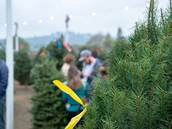 Primer plano de abeto douglas árbol de Navidad en el mercado con las compras de los clientes — Foto de Stock