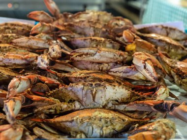 Satır buğulanmış ve terbiyeli Chesapeake Körfezi mavi filinta yemeye hazır