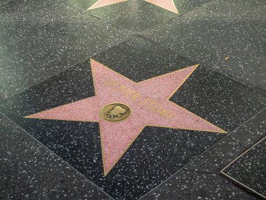 Hollywood Walk of Fame'de Oliver Stone'un yönetmen yıldızı