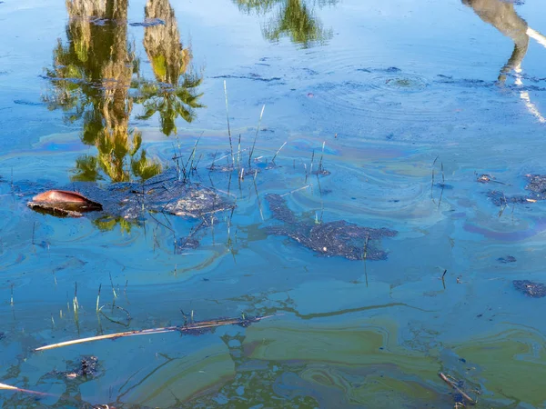 Água tropical com reflexo de palmeiras poluídas com petróleo e detritos — Fotografia de Stock