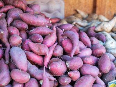 Tatlı patates ile çiftçi pazarında taze patates yığını