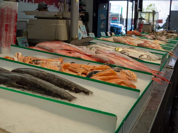 Types of fresh fish sitting on ice in grocery store seafood section for purchase