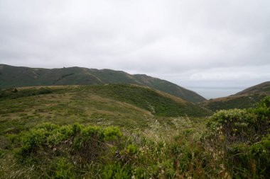Çalı ve otsu gökyüzü ile çimenli tepeler ile otlar