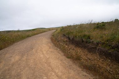 Sağa doğru kıvrılan toprak yürüyüş parkuru, ufka doğru bilinmeyen yön duygusu
