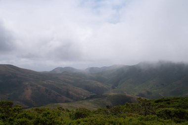 Yuvarlanan sis, doğanın, ormanın, tepelerin ve patika nın manzarasını engelliyor