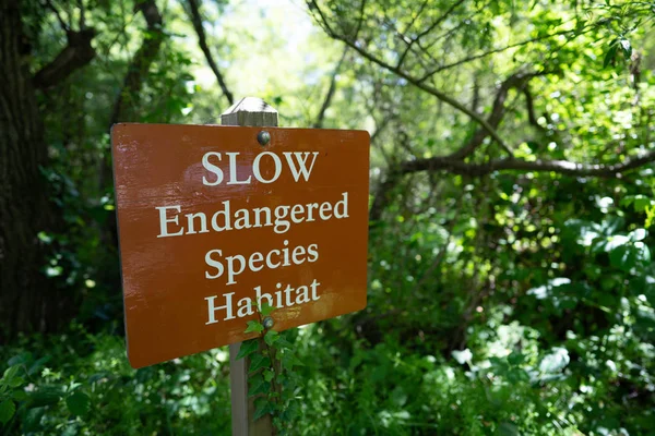 Slow endangered species habitat sign in forest area, protected nature