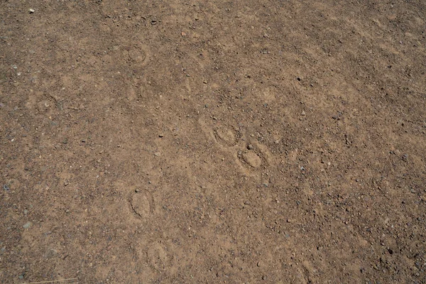 Impressões de ferradura escavadas na estrada de terra seca durante o dia — Fotografia de Stock