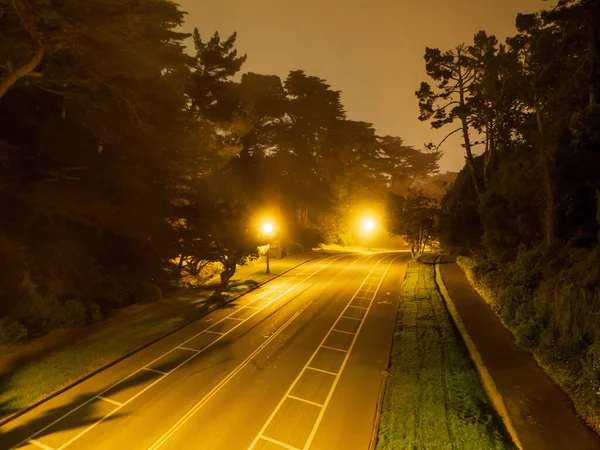 Dunkle Straße mit Bäumen säumt und backt Gassen im Park — Stockfoto