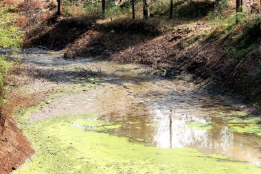 Küresel ısınma, kuraklık, sulama Göleti düşük su seviyesi yansıtılır